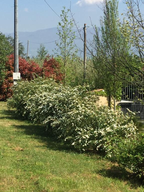 Lago Gabbiano Podere Casanova Пистойя Экстерьер фото
